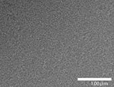 Hydrophilic Silica